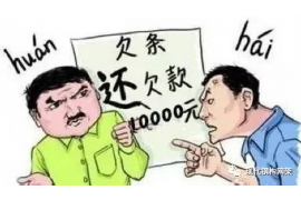 南汇为什么选择专业追讨公司来处理您的债务纠纷？